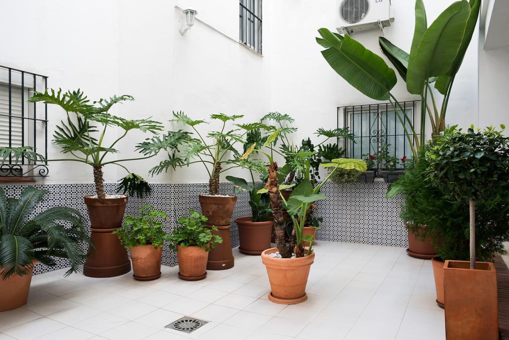 Urbanchicmalaga 3 Bedroom Spacious Quiet Historic Appartement